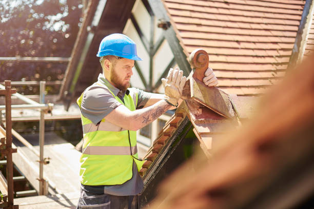 Best Roof Gutter Cleaning  in Jonesville, NC